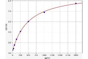 Typical standard curve (H2AFX ELISA 试剂盒)