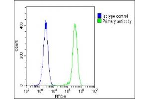 Overlay histogram showing U-2 OS cells stained with (ABIN656235 and ABIN2845551) (green line). (Aquaporin 5 抗体  (C-Term))