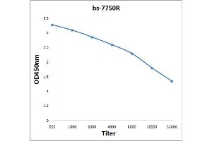 Antigen: 0. (KIF20A 抗体  (AA 353-450))