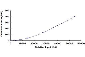 ELISA image for Prothrombin Fragment 1+2 (F1+2) CLIA Kit (ABIN1081840)