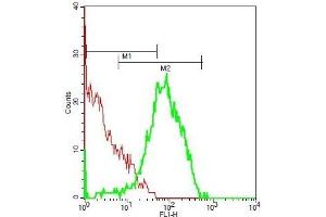 Flow Cytometry (FACS) image for anti-Macrophage Stimulating 1 Receptor (C-Met-Related tyrosine Kinase) (MST1R) (pTyr1238), (pTyr1239) antibody (ABIN1713965)