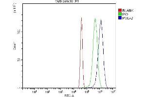 Flow Cytometry analysis of U251 cells using anti-POLA2 antibody (ABIN7600985).
