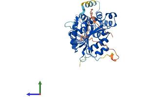 Protein Structure (PS) image for NDRG Family Member 4 (NDRG4) (AA 1-352) protein (His tag) (ABIN7558872)