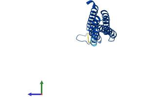 AlphaFold protein structure predicition of Human Recombinant LTC4S Protein, UniprotID Q16873