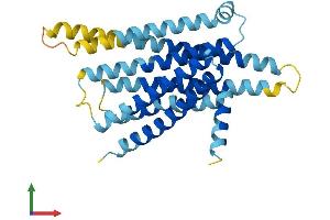 AlphaFold protein structure predicition of Mouse Recombinant Tas2r105 Protein, UniprotID Q9JKT4