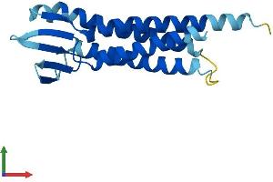 AlphaFold protein structure predicition of Human Recombinant LIM2 Protein, UniprotID P55344