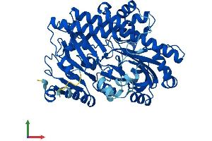 Protein Structure (PS) image for Chromosome 22 Open Reading Frame 28 (C22orf28) (AA 1-505) protein (His tag) (ABIN7551603)