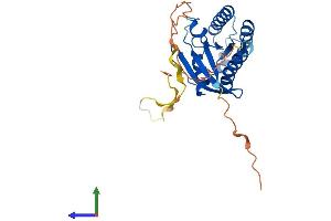 Protein Structure (PS) image for RAS-Like, Family 12 (RASL12) (AA 1-266) protein (His tag) (ABIN7556925)
