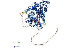 Protein Structure (PS) image for Cryptochrome 1 (Photolyase-Like) (CRY1) (AA 1-586) protein (His tag) (ABIN7553559)