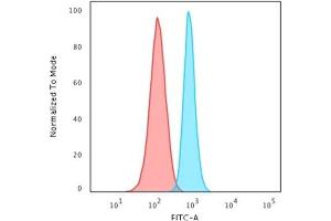 Flow Cytometry (FACS) image for anti-Spectrin, Beta, Non-erythrocytic 2 (SPTBN2) (AA 356-475) antibody (ABIN6940652)