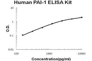 Human PAI-1 PicoKine ELISA Kit standard curve (PAI1 ELISA 试剂盒)