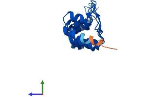 Protein Structure (PS) image for Cyclin-Dependent Kinase Inhibitor 2C (p18, Inhibits CDK4) (CDKN2C) (AA 1-168) protein (His tag) (ABIN7553405)