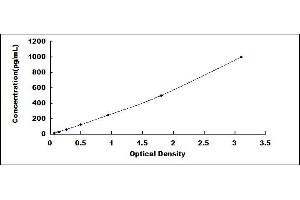 Typical standard curve (Cytokeratin 13 ELISA 试剂盒)