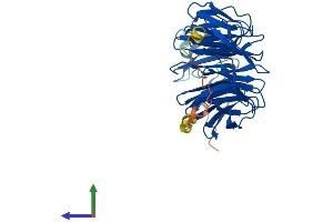 Protein Structure (PS) image for WD Repeat Domain 86 (WDR86) (AA 1-376) protein (His tag) (ABIN7545193)