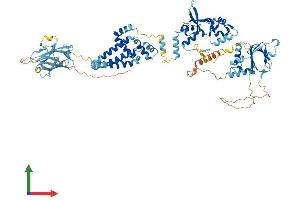 Protein Structure (PS) image for Cyclin M4 (CNNM4) (AA 1-771) protein (His tag) (ABIN7557886)