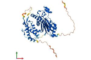 AlphaFold protein structure predicition of Human Recombinant PPM1F Protein, UniprotID P49593 (PPM1F Protein (AA 1-454) (His tag))
