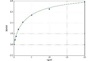 Aconitase 2, Mitochondrial (ACO2) ELISA Kit