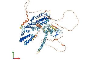 Protein Structure (PS) image for RAS Guanyl Releasing Protein 1 (Calcium and DAG-Regulated) (RASGRP1) (AA 1-797) protein (His tag) (ABIN7554039)