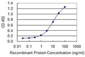 Detection limit for recombinant GST tagged EML4 is 0. (EML4 抗体  (AA 1-62))