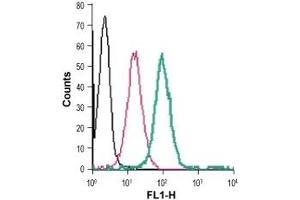 Cell surface detection of GPR91 in live intact human THP-1 monocytic leukemia cells: (black line) Cells. (SUCNR1 抗体  (Extracellular) (FITC))