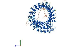 Protein Structure (PS) image for Ankyrin Repeat Domain 28 (ANKRD28) (AA 1-1053) protein (His tag) (ABIN7552251)