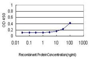 Detection limit for recombinant GST tagged HCK is approximately 3ng/ml as a capture antibody. (HCK 抗体  (AA 1-80))