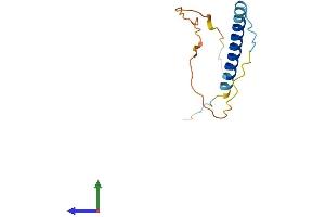 Protein Structure (PS) image for Transcription Elongation Factor A (SII)-Like 8 (TCEAL8) (AA 1-117) protein (His tag) (ABIN7544332)