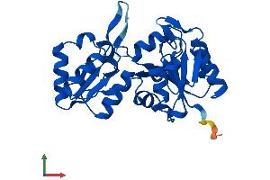Protein Structure (PS) image for Haloacid Dehalogenase-Like Hydrolase Domain Containing 2 (HDHD2) (AA 1-259) protein (His tag) (ABIN7557188)