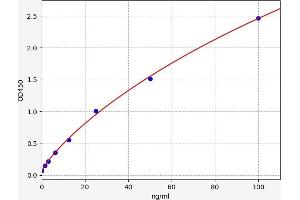 Calpain 6 ELISA 试剂盒