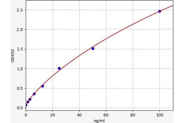 Calpain 6 ELISA 试剂盒