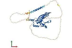 Protein Structure (PS) image for RAD52 Homolog (S. Cerevisiae) (RAD52) (AA 1-420) protein (His tag) (ABIN7563263)