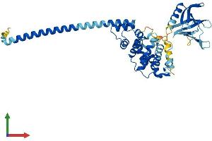 Protein Structure (PS) image for Cytohesin 4 (CYTH4) (AA 1-394) protein (His tag) (ABIN7546878)