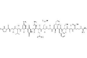 Image no. 1 for Fibrinopeptide B (FPB) peptide (ABIN399421) (Fibrinopeptide B (FPB) Peptide)