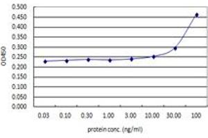 Sandwich ELISA detection sensitivity ranging from 3 ng/ml to 100 ng/ml. (ACTN4 (人) Matched Antibody Pair)