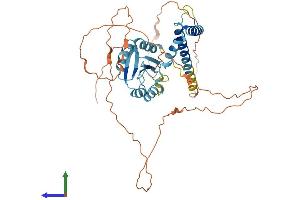 Protein Structure (PS) image for Spermatogenesis and Oogenesis Specific Basic Helix-Loop-Helix 2 (SOHLH2) (AA 1-425) protein (His tag) (ABIN7546146)