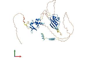 AlphaFold protein structure predicition of Human Recombinant KCTD8 Protein, UniprotID Q6ZWB6