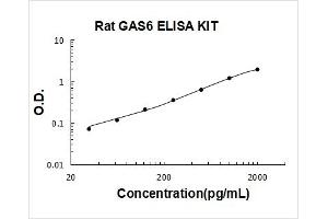 Growth Arrest-Specific 6 (GAS6) ELISA Kit
