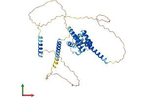 Protein Structure (PS) image for Centrosomal Protein 44kDa (CEP44) (AA 1-390) protein (His tag) (ABIN7553457)
