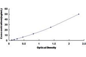 Typical standard curve (CHRNA1 ELISA 试剂盒)