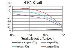 Black line: Control Antigen (100 ng), Purple line: Antigen(10 ng), Blue line: Antigen (50 ng), Red line: Antigen (100 ng), (SIRT7 抗体  (AA 1-105))