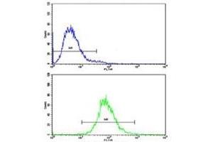 Flow cytometric analysis of CEM cells using CD36 antibody (bottom histogram) compared to a negative control (top histogram).