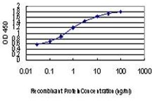 ELISA image for anti-Neural Precursor Cell Expressed, Developmentally Down-Regulated 1 (NEDD1) (AA 561-660) antibody (ABIN566771)