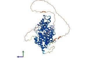 AlphaFold protein structure predicition of Mouse Recombinant Men1 Protein, UniprotID O88559