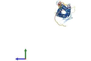 Protein Structure (PS) image for Claudin 15 (CLDN15) (AA 1-227) protein (His tag) (ABIN7556354)
