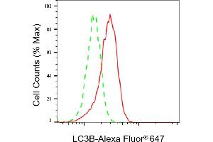 Flow cytometric analysis of LC3B expression in H9c2 cells using LC3B antibody (ABIN7799410), 1:2,000). (Recombinant LC3B 抗体)