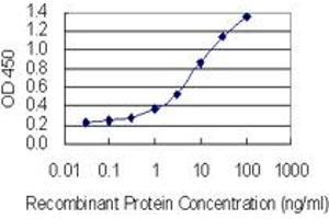 Detection limit for recombinant GST tagged SPANXN3 is 0. (SPANXN3 抗体  (AA 1-141))