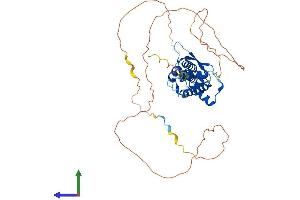 Protein Structure (PS) image for Transcription Factor AP-2 epsilon (Activating Enhancer Binding Protein 2 Epsilon) (TFAP2E) (AA 1-442) protein (His tag) (ABIN7552222)