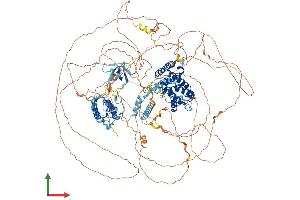 AlphaFold protein structure predicition of Mouse Recombinant Arhgap33 Protein, UniprotID Q80YF9