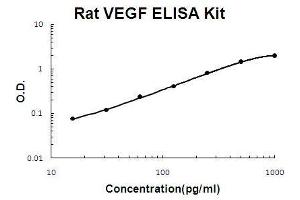 Rat VEGF PicoKine ELISA Kit standard curve (VEGF ELISA 试剂盒)