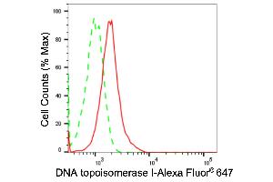 Flow cytometric analysis of DNA topoisomerase I expression in HT- cells using DNA topoisomerase I antibody (ABIN7800571), 1:2,000). (Recombinant Topoisomerase I 抗体)